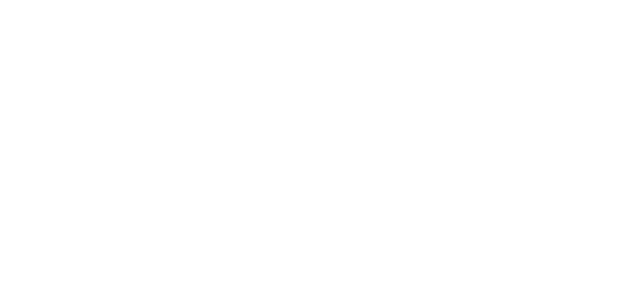 Universal Services of Congo